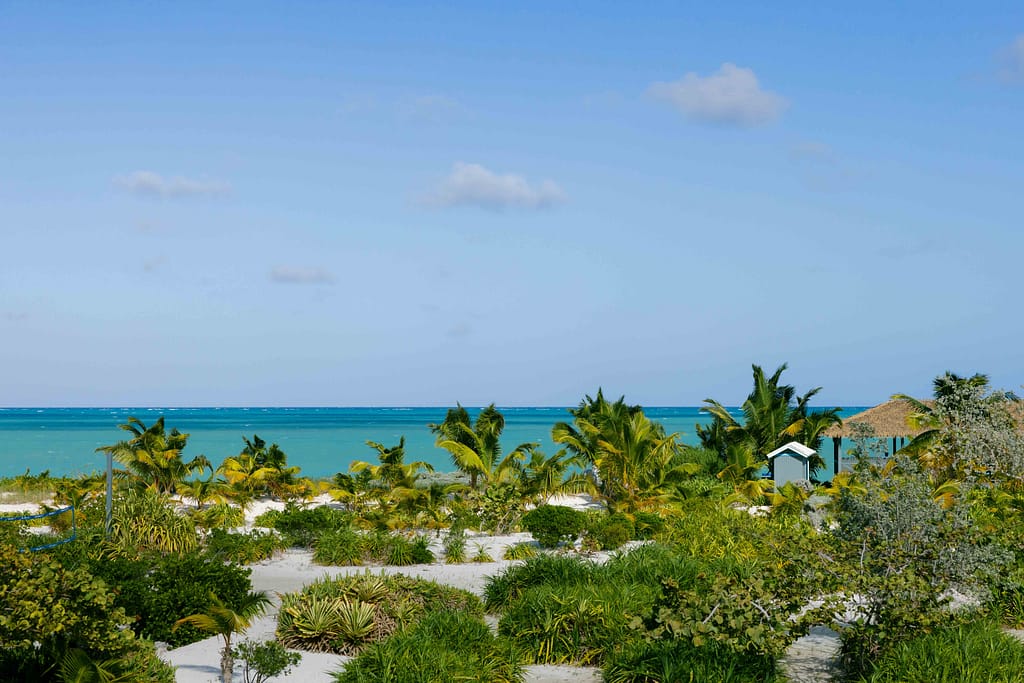 The view of the ocean from Andros Beach Club